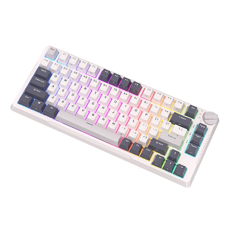 Mehanska tipkovnica Royal Kludge RKH81 RGB, Sky cyan stikalo (bela)