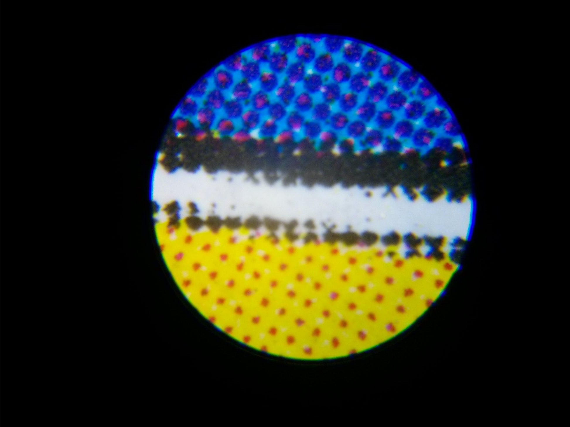 Mini optični mikroskop s povečavo 60x do 100x